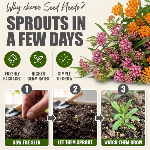 Seed Needs Milkweed Seeds Variety Pack of 15 Perennial Flowers for Monarchs