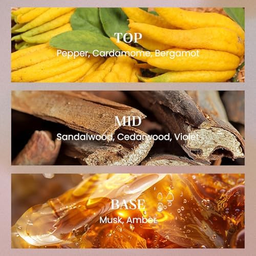 M&SENSE 8.4 oz Large Reed Diffuser for Home | Santal(Sandalwood) Scent Oil Diffuser with Sticks | Bedroom Bathroom Living Room Decor