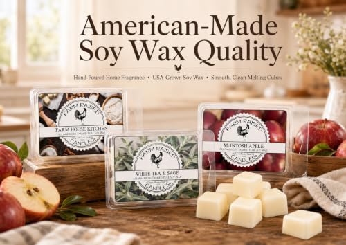 Black Raspberry Vanilla - USA Made Soy Wax Melts, 2 Pack, 6 oz