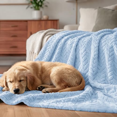 Exclusivo Mezcla Fleece Throw Blanket for Couch Sofa, 50”x70”, Light Blue