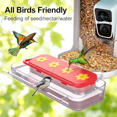 birdsnap® Hummingbird Feeder Perch, 2-in-1 Jelly & Water Feeder Box