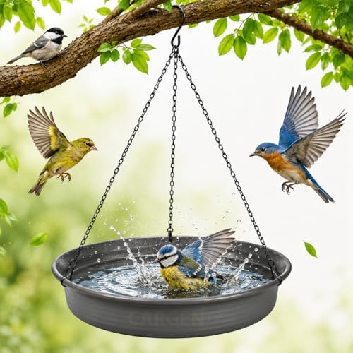 CARGEN Hanging Bird Bath Bowl - Window Bird Water Feeder Tray for Outdoors