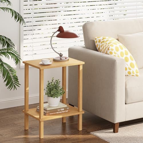 TUTOTAK End Table, Side Table, Nightstand, 2-Tier Storage Shelf
