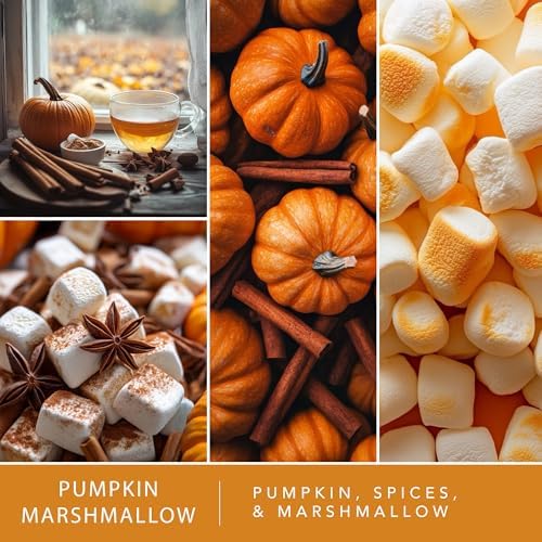 Scentsationals Pumpkin Marshmallow Scented Fall Wax Melts 10oz (24 Cubes)
