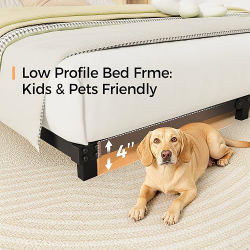 Full Size 4 Inch Metal Bed Frames Low Profile Heavy Duty Platform Bed