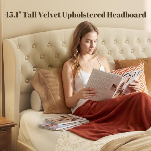 HISOFT Queen Platform Bed Frame, Velvet Upholstered Sleigh Bed with Wingback Tufted Headboard and Footboard, Noise-Free Design, Easy Assembly, No Box Spring Needed, Light Beige