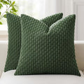 Kevin Textile Soft Corduroy 20x20 Inch Pillow Covers 2 Pack, Dark Green