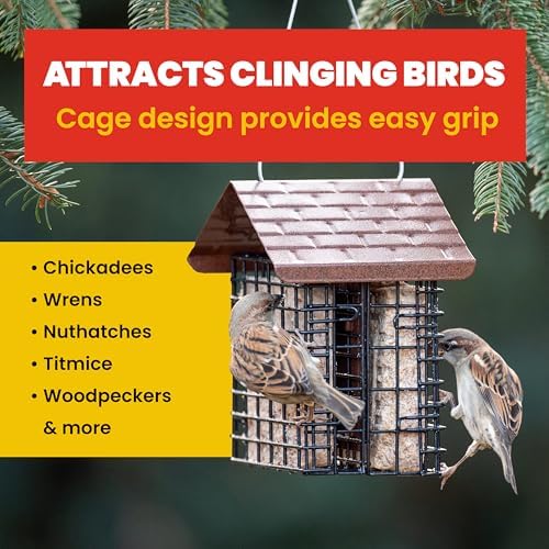 More Birds Double Suet Cake Feeder, Weather Guard, Steel Construction