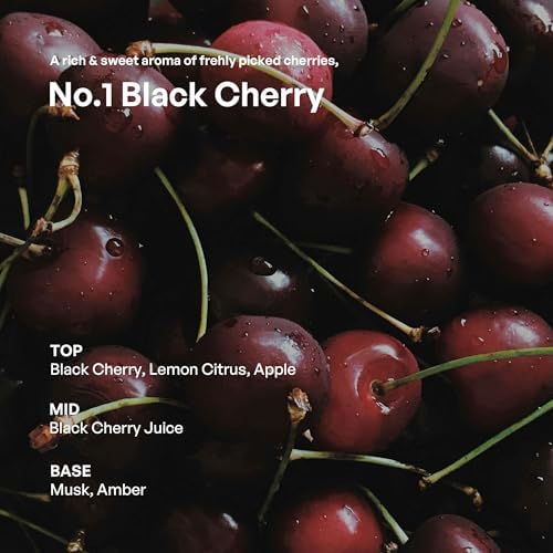 HETRAS Premium Reed Diffuser Black Cherry 2Pack