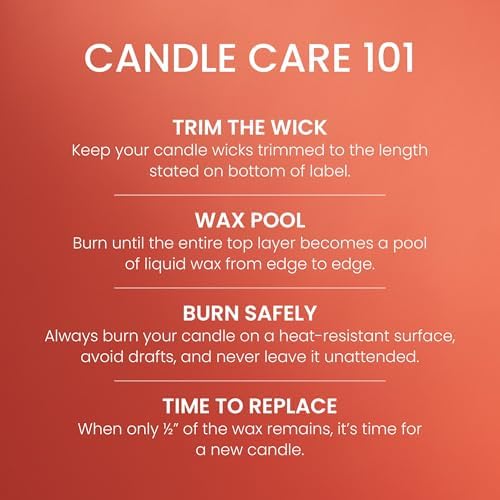 Yankee Candle Spiced Pumpkin, Fall Scented Candle, 22oz Large Jar with up to 150 Hour Burn Time, Giftable (Pack of 4)