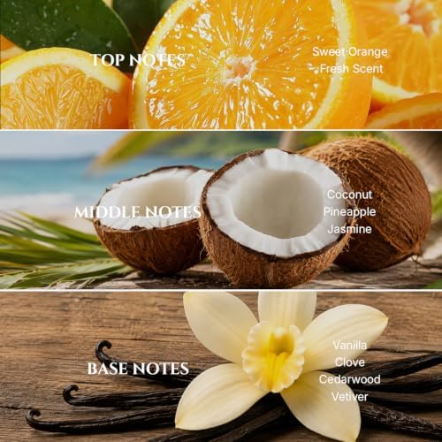 AROMADD Coconut Vanilla Diffuser Oil Inspired by Luxury Hotel Scent, 100 mL