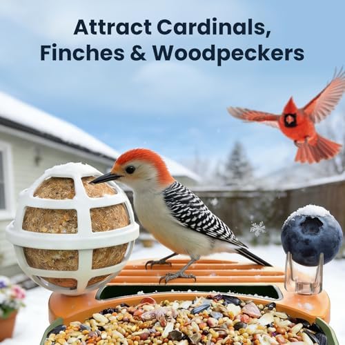 DIY Bird Feeder Add-Ons for WLNYUGS Bird Feeder Camera