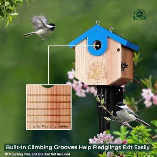 SISTERBIRD Wren Bird Houses for Outside, Bird House Warming Gifts, Blue