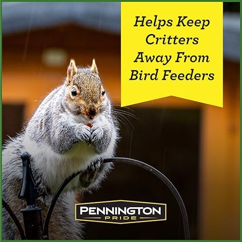 Pennington Pride Squirrel & Critter (Pack of 2)