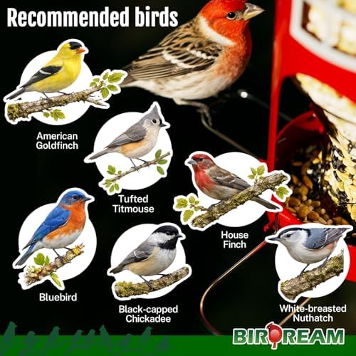 Birdream Metal Bird Feeder for Outdoors Hanging, 1.5lb Large Capacity, Red