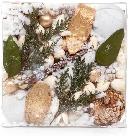 ANDALUCA Maison Box Fragrance Potpourri Decorative Vase & Bowl Filler Home Décor (Frosted Pine)