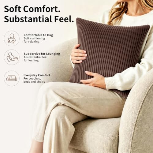 2 Pack 18 x 18 Decorative Throw Pillows with Insert Included