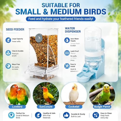 Rypet No-Mess Bird Feeder and Water Dispenser Set for Small Birds