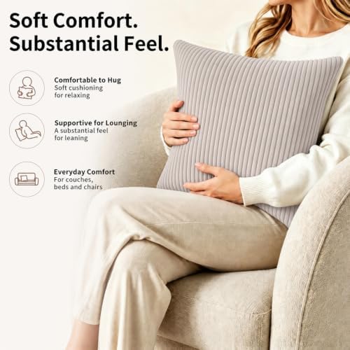 2 Pack 18 x 18 Decorative Throw Pillows with Insert Included