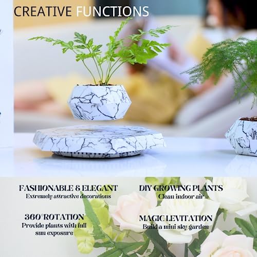 MOOCCI Floating Plant Pot, Levitating Plant Pot for Succulents
