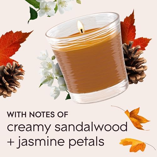 Glade 1-Wick Scented Candle Jar, Cashmere Woods, Air Freshener Infused with Essential Oils, 4.08 Oz, 3 Count