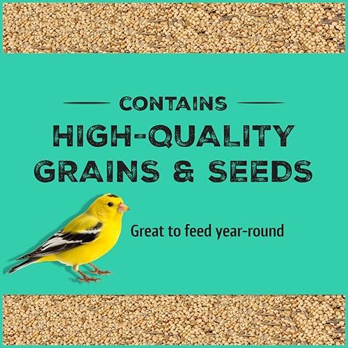 Pennington Pride Wild Finch Blend Wild Bird Seed, 10-lb Bag