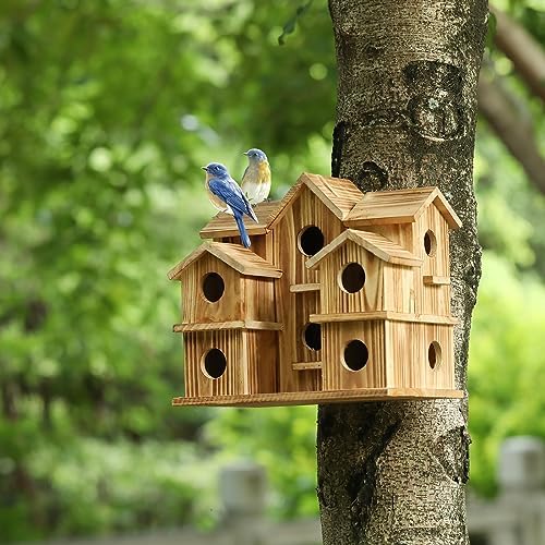 YYYUAN Cedar 10-Hole Bird House for Outside Hanging, 11x7x9 in Garden Decor