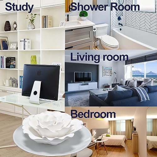 Passive Diffuser for Essential Oil-Ceramic Diffuser Non Electric Oil Diffusers for Small Mini Room, Desk Decorative, Bathroom (White Hibiscus)