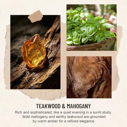 Auelife Reed Diffuser Set, Teakwood & Mahogany Scent Diffuser 2 Pack 8Fl Oz
