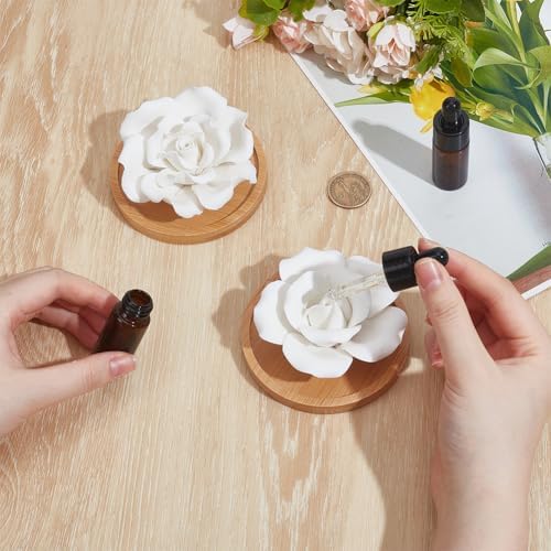 INFUNLY 2 Pcs Rose Essential Oil Diffuser Stone Plaster Scent Diffuser with Round Base 2 Style Roses Diffuser Stone Kit 3.7x3.7 Insertable Reed Rose Aromatherapy Stone for Desk Office Home Gift
