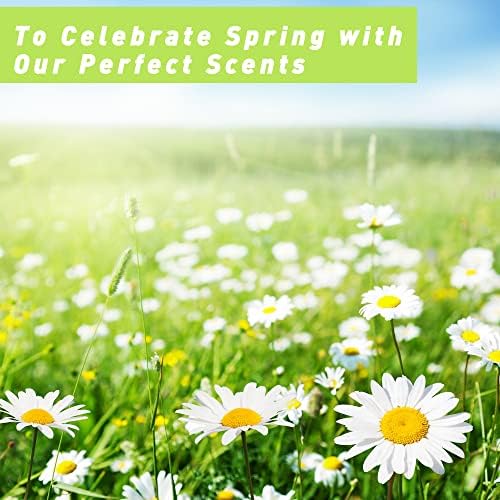 Spring Fragrance Oils, ESSLUX Premium Scented Oils for Home Diffuser, Soap Candle Making Scents, Refreshing Aromatherapy Essential Oil Gift Set, Rose & Lily, Peppermint Grass and More