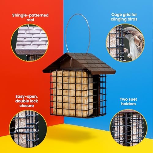 More Birds Double Suet Cake Feeder, Weather Guard, Steel Construction