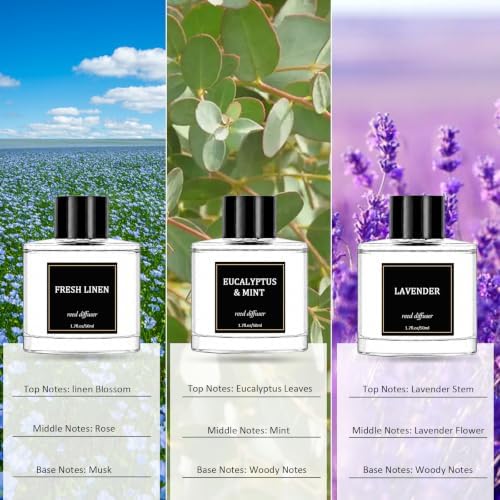 Reed Diffuser Set of 3 Pack,Fresh Linen,Eucalyptus & Mint,Lavender Scented Oil Diffuser with 12 Sticks, Fragrance Reed Diffuser for Home Living Room Bathroom Air Freshener 50mlx3