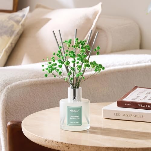 Airkeep Reed Diffuser Set,3.38 fl oz (100 ml) - Wild Mint&Eucalyptus Oil Diffusers with 8 Reed Sticks, Home Fragrance Reed Diffuser for Bathroom Shelf Decor