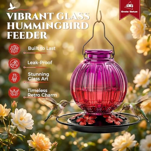 Glass Hummingbird Feeder for Outdoors Hanging, 26 fl oz Bird Nectar Feeder