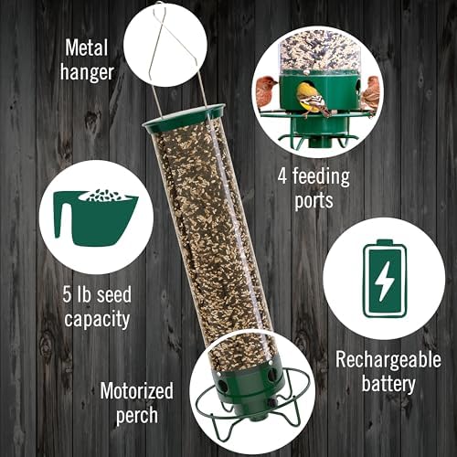 Droll Yankees Squirrel Proof Bird Feeder for Outdoors, 5 lb Seed Capacity