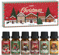 SALUBRITO Christmas Fragrance Oils Set, Winter Essential Oils for Diffuser, Candle Making, Scented Oils Gift - Candy Cane, Christmas Tree, Christmas Pudding, Apple Cinnamon, Gingerbread, Mistletoe