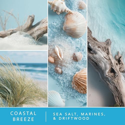 ScentSationals Coastal Breeze Water-Based Reed Diffuser - 5 FL OZ