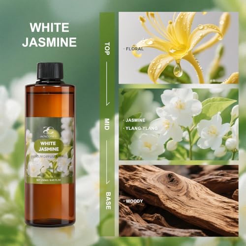 Diffuser Oil Refill, 250ml / 8.45 fl oz, Jasmine - Reed Diffuser Oil Refill for Home Fragrance, Scented Oil for Reed Diffuser Bottles, Floral, Ylang Ylang & Woody Notes