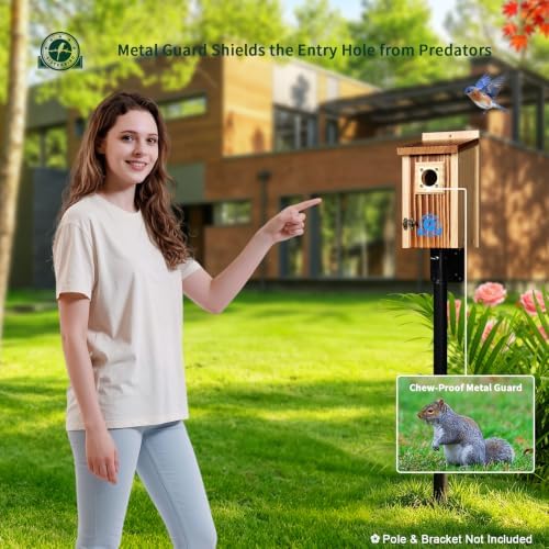 SISTERBIRD 2 Pack Bluebird House, Premium Blue Bird House, Warming Gifts