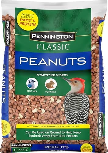 Pennington Classic Shelled Peanuts 5 pounds