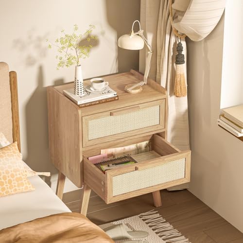 Lerliuo Rattan Nightstands Set of 2 for Bedroom, 2 Drawers