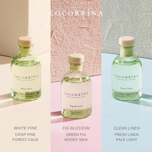 COCORRÍNA Reed Diffuser Set of 3 with Dried Eucalyptus for Home & Office