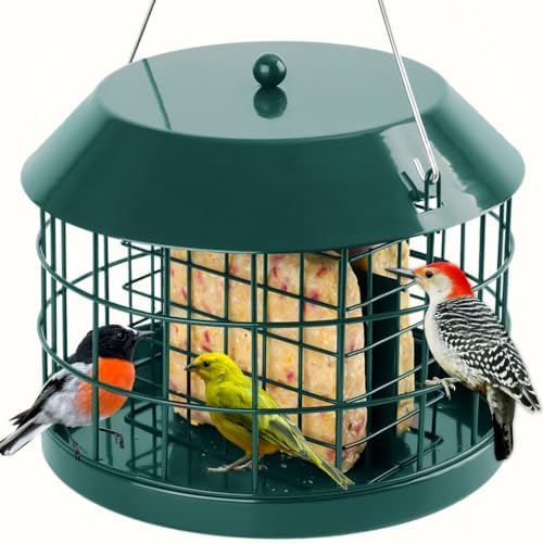 Gbekery Squirrel Proof Suet Bird Feeders for Outdoors Hanging, Green