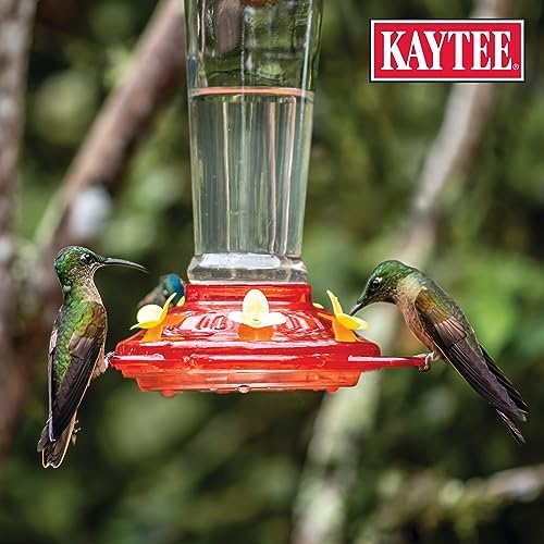 Kaytee Hummingbird ElectroNectar Wild Bird Food,16 oz Concentrate,Makes 128 oz of ElectroNectar,(Pack of 4)
