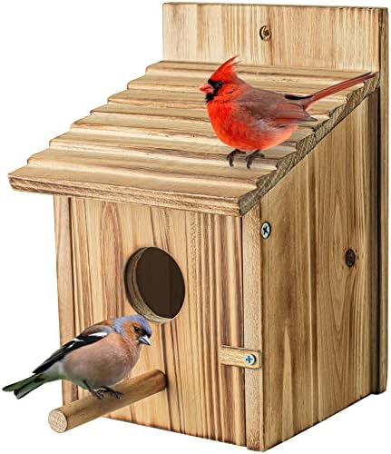 NATUREYLWL Wooden Birdhouse with Lift-Up Front Cleaning Door