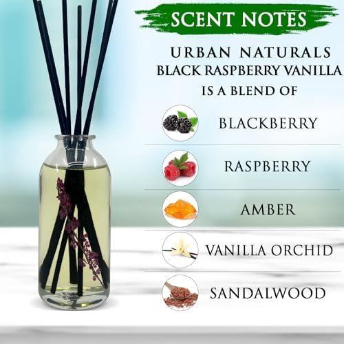 Urban Naturals Reed Diffuser Set, Black Raspberry Vanilla - Shelf Décor