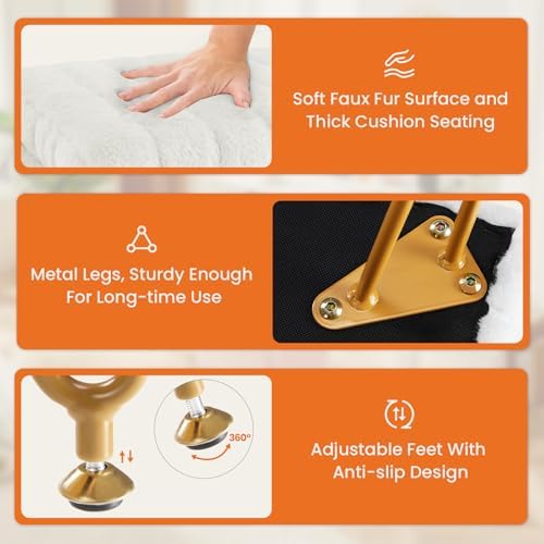 DUMOS Vanity Stool Chair, Ottoman with Storage for Living Room, Bedroom