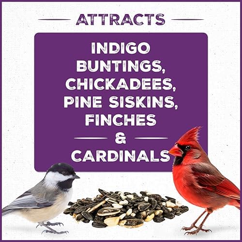 Pennington Songbird Nut & Fruit Blend Wild Bird Seed for Outside Feeders