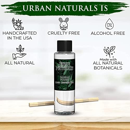 Urban Naturals Balsam Forest Oil Reed Diffuser Refill + Free Set of Reed Sticks - Fragrance Notes of Pine Fir Needles, Evergreen, Woodsy Cedar and Sandalwood – Vegan, 4 oz Made in the USA